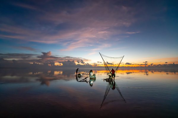 Les meilleures pratiques pour garantir le bien-être de votre chien